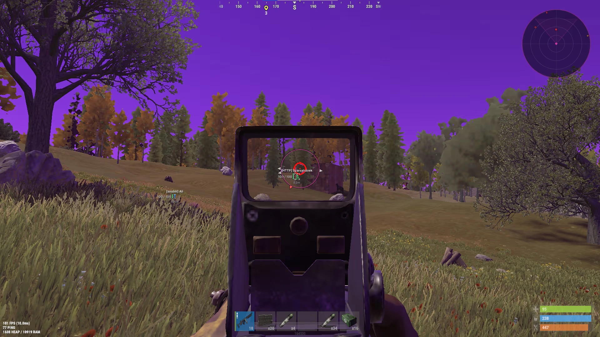 UDP Rust image 16